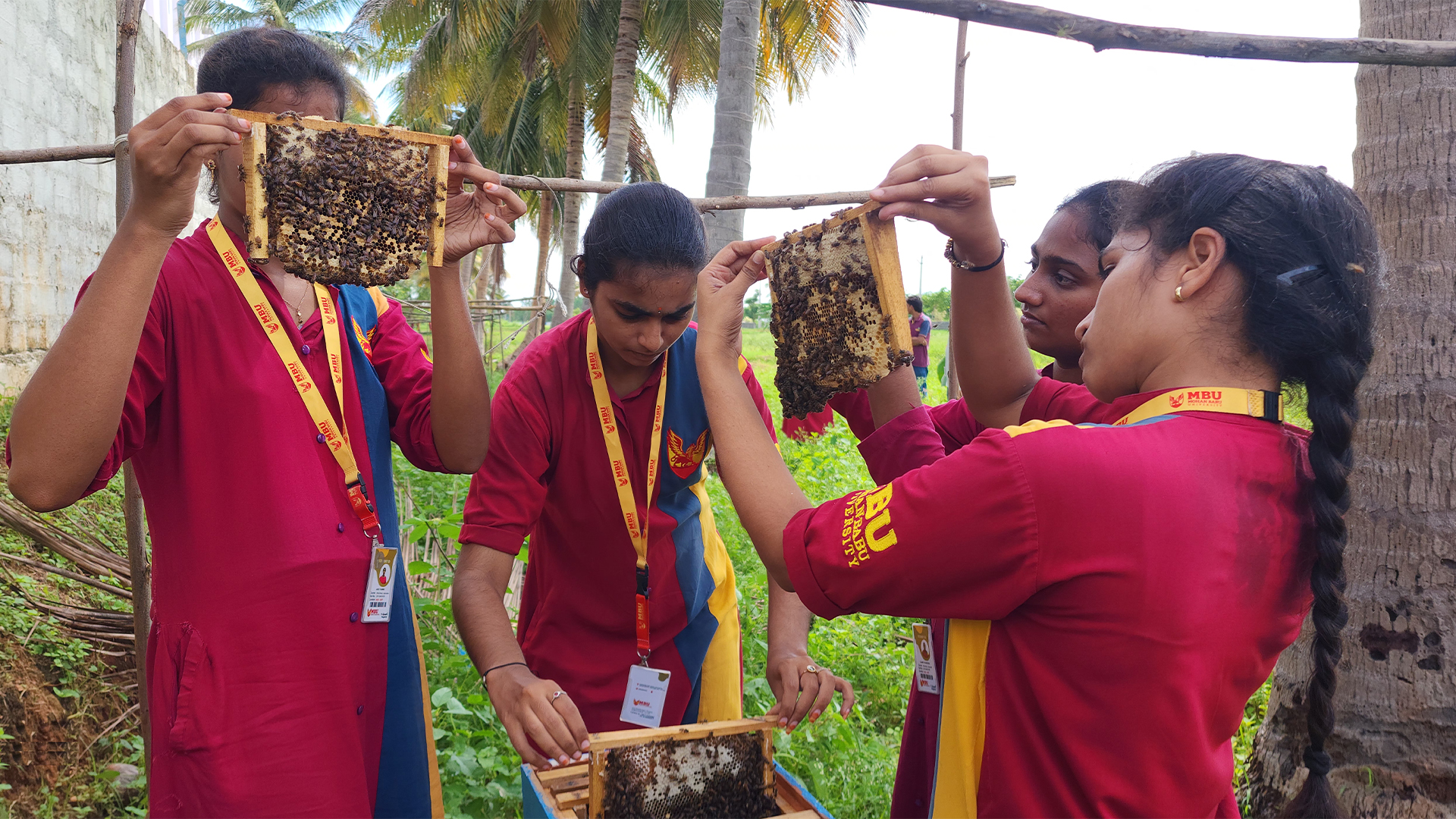 Bee Keeping Training Session