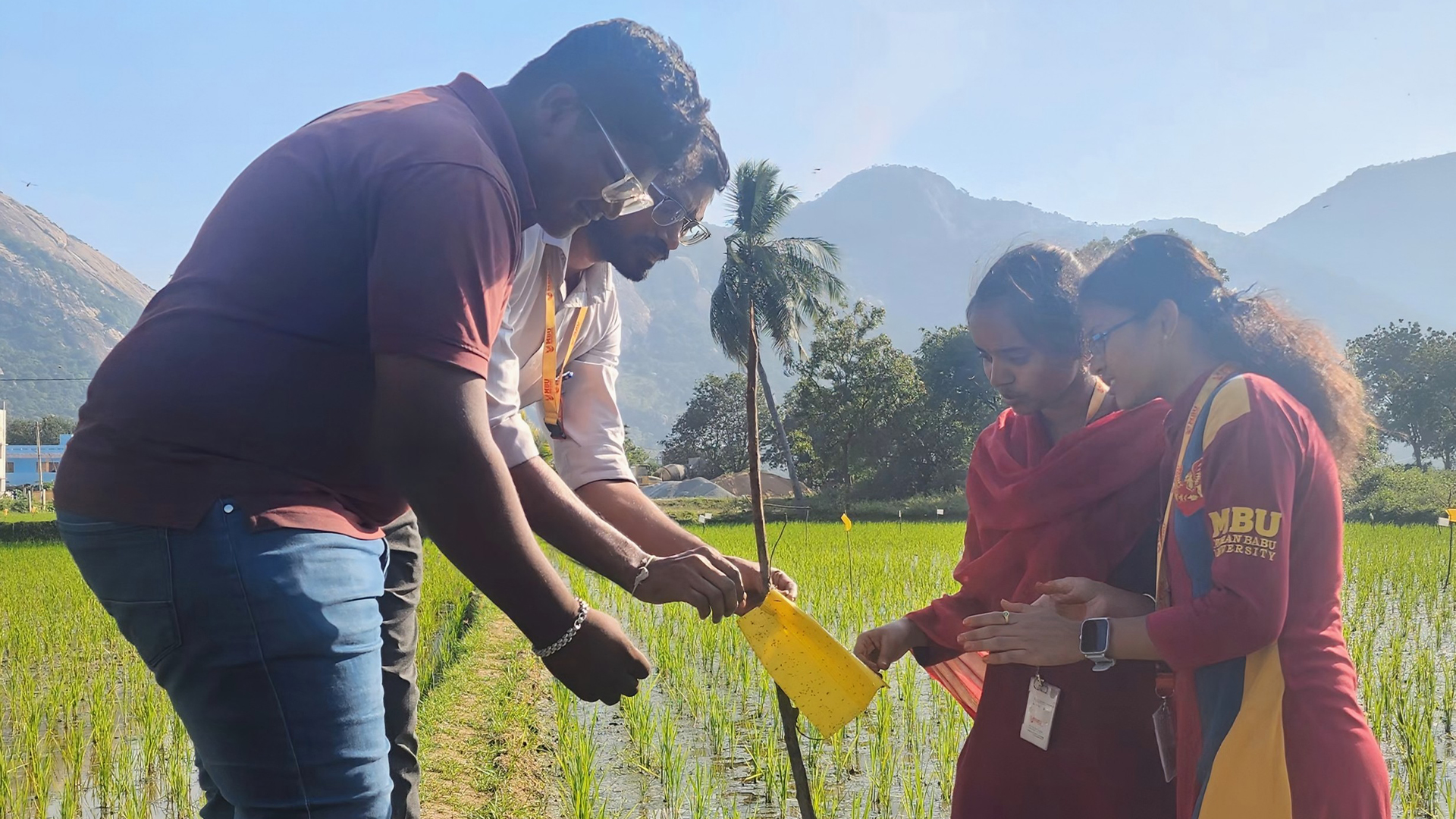 Plant Health Club Impactful Hands-On Activity, “Demonstration On Installation Of Yellow Sticky Traps For Trapping Major Sucking Pests”