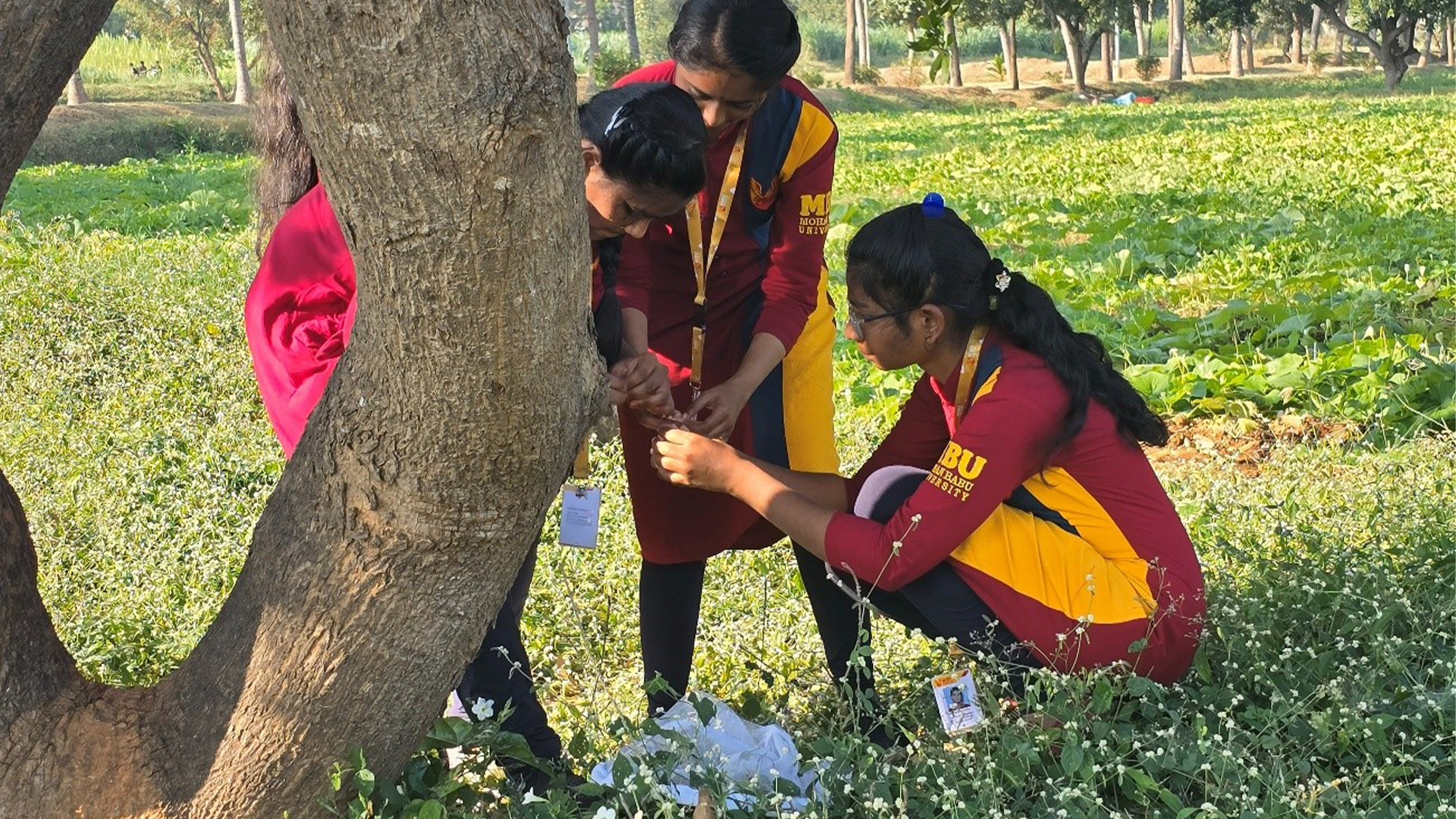 JAN-20-01-2026- Plant Heath CLub3
